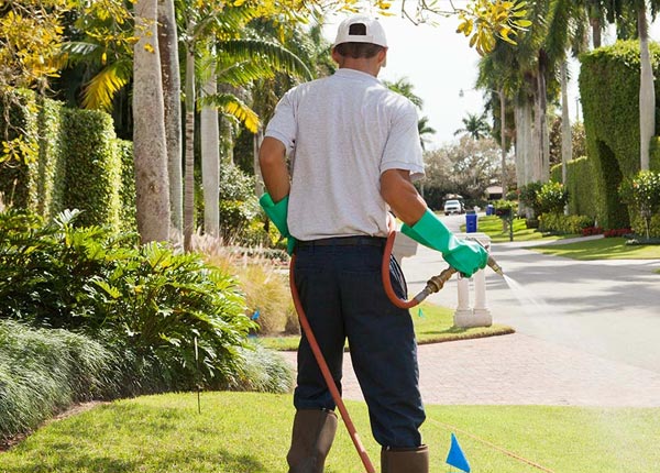 About Broadalbin NY Pest Control
